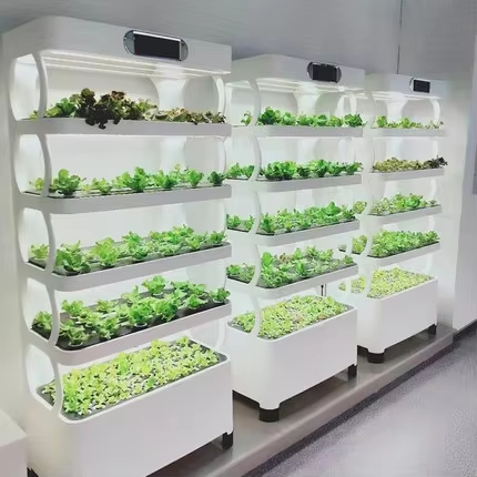 Greenhouse Mini Indoor - Mini Sistema Hidropônico para Cultivo Interno