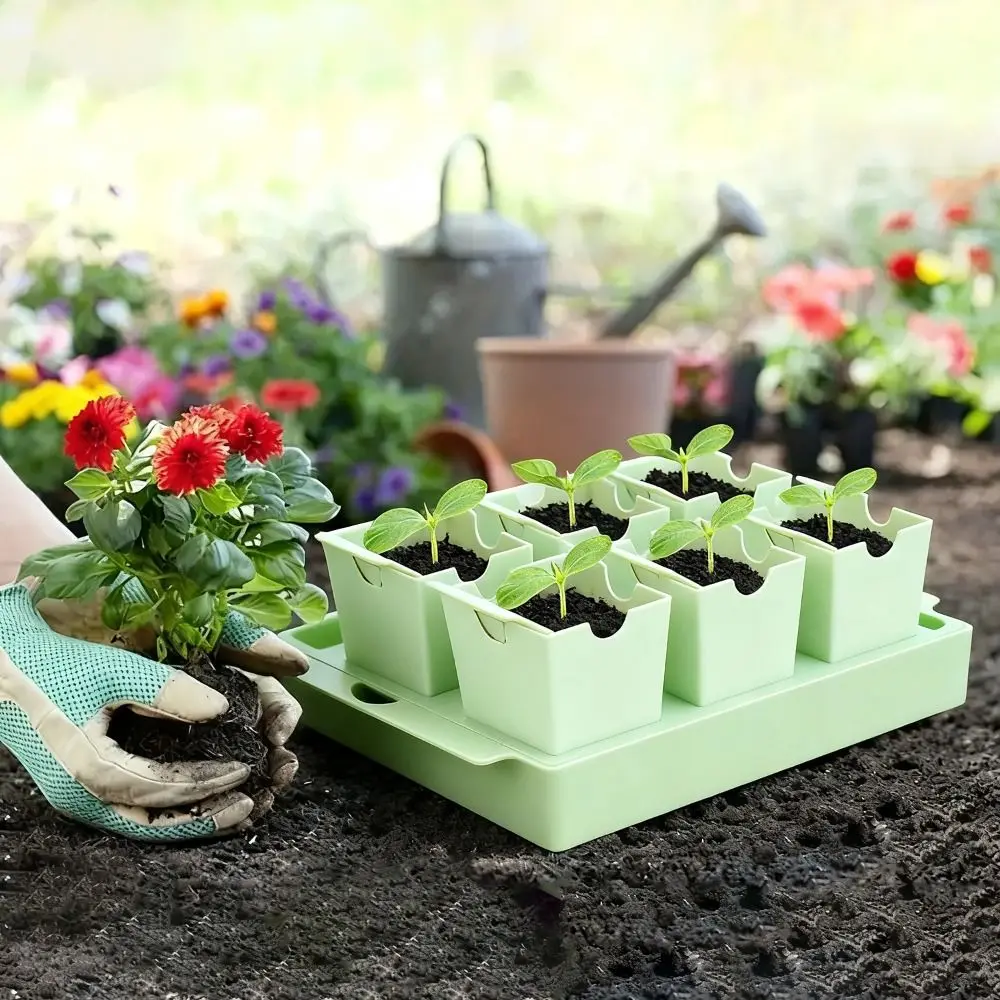 Seed Starter Trays - Bandeja inicial de sementes de dupla
