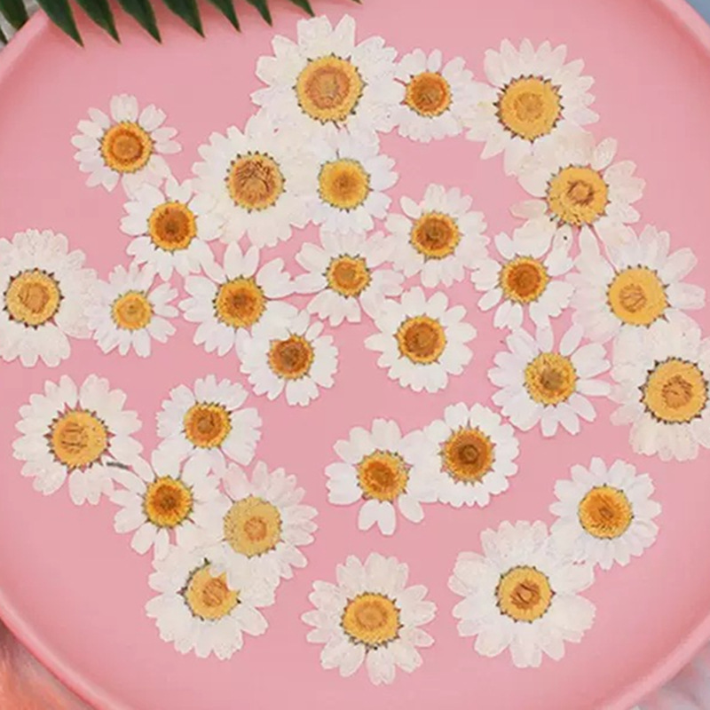 Gardening Tools Diy - 100 Peças de Cristal Branco Natural,