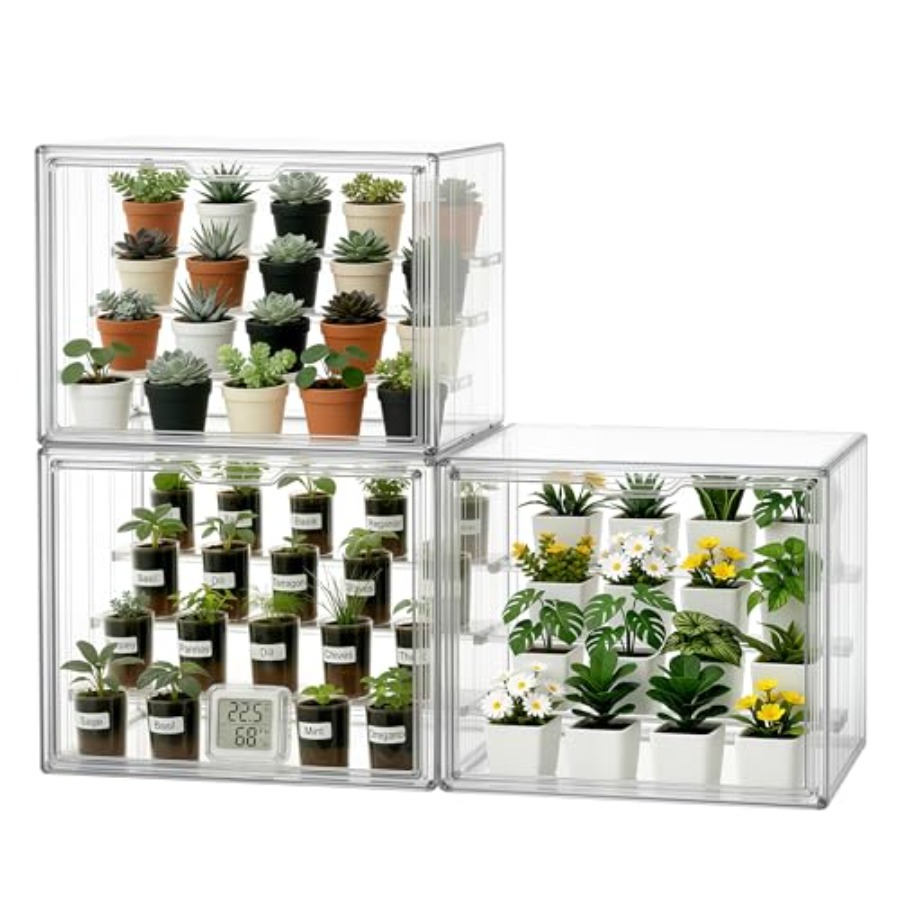 Greenhouse Mini Indoor - Mini estufa de mesa para plantas