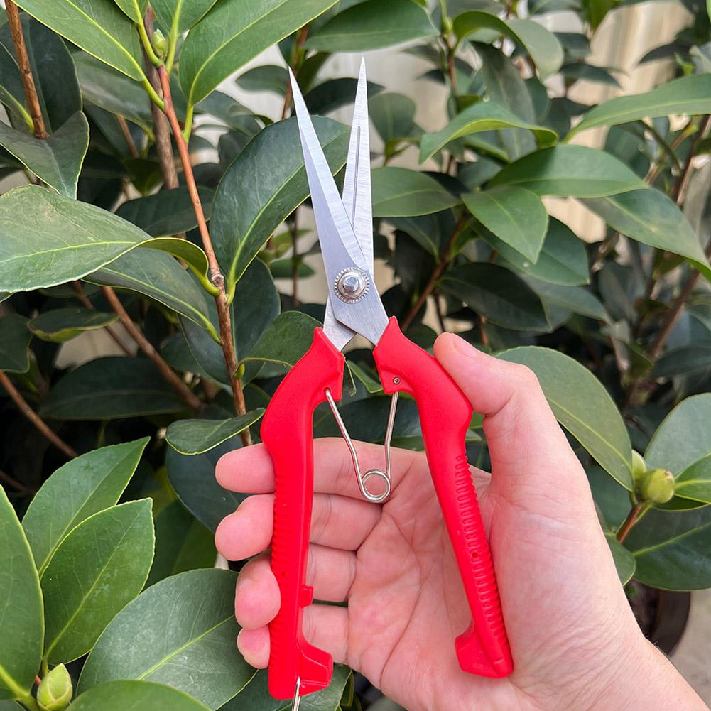 Gardening Tools Basic - Tesoura de Poda Profissional para Jardim,