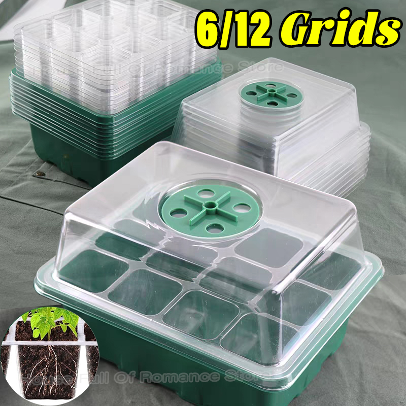 Greenhouse Mini Indoor - Kit de Iniciação para Cultivo de