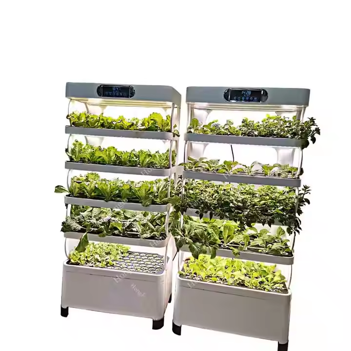 Mini Sistema Hidropônico para  - Greenhouse Mini Indoor avaliação e preço