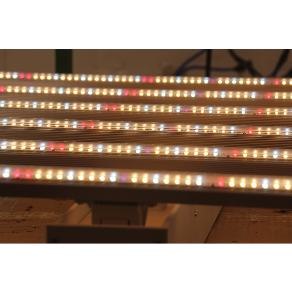 Lâmpadas LED para Cultivo de P - Led Grow Light avaliação e preço