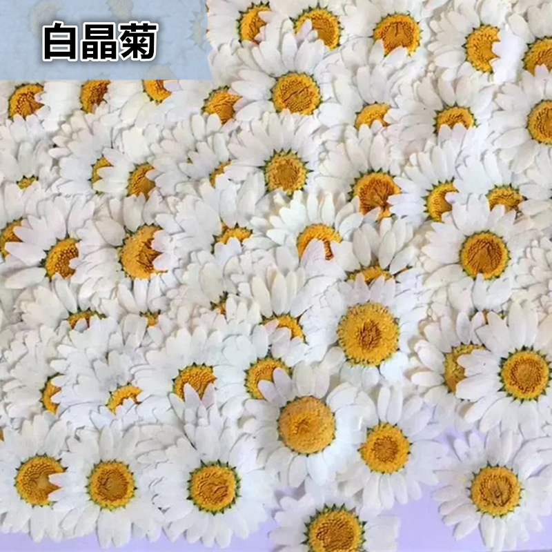 100 Peças de Cristal Branco Na - Gardening Tools Diy avaliação e preço