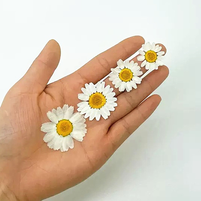 100 Peças de Cristal Branco Na - Gardening Tools Diy avaliação e preço