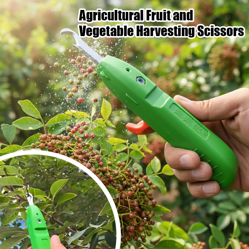 Tesoura de Colheita de Frutas  - Gardening Tools Basic avaliação e preço