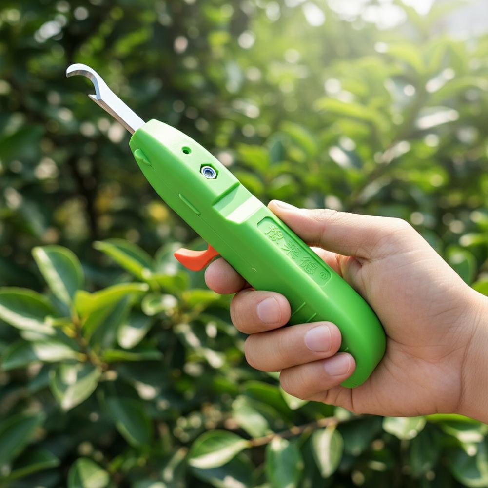 Tesoura de Colheita de Frutas  - Gardening Tools Basic avaliação e preço