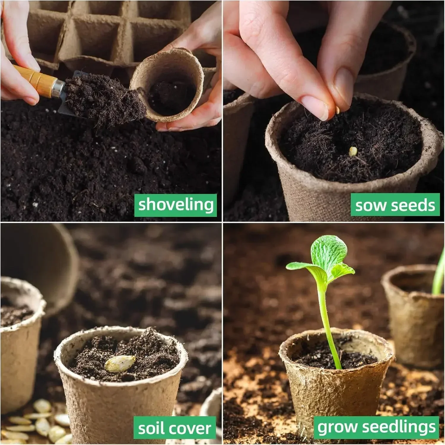 Vasos Redondos de Turfa para J - Seed Starter Trays avaliação e preço
