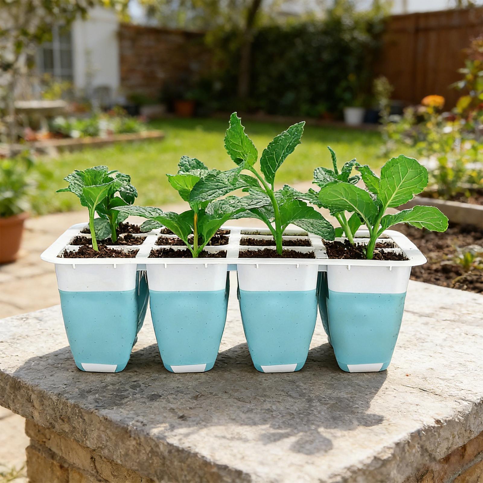 Kit de Germinação de Sementes  - Seed Starter Trays avaliação e preço