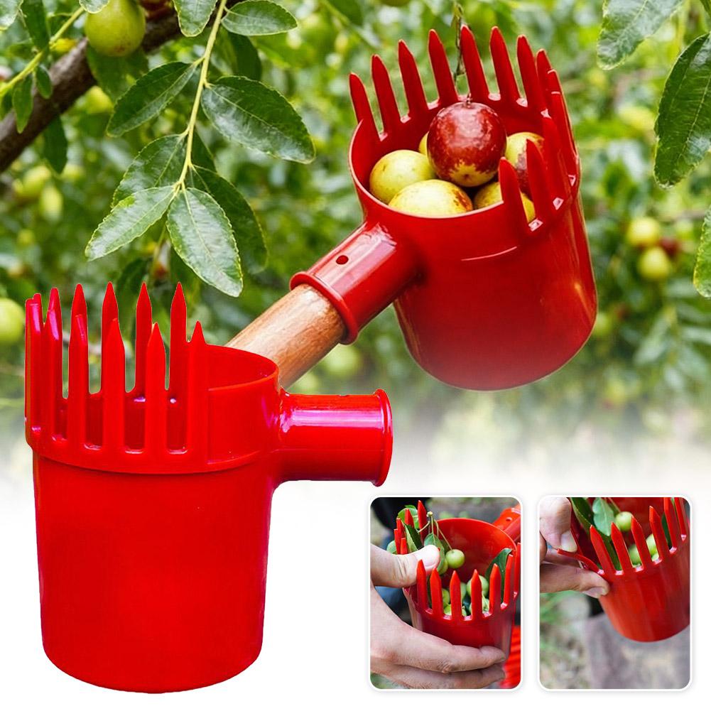 Ferramenta Portátil para Colhe - Gardening Tools Rack avaliação e preço