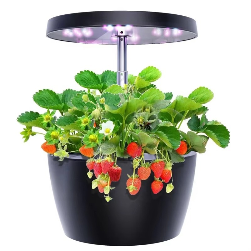 Equipamento de irrigação e hid - Seed Starter Trays avaliação e preço
