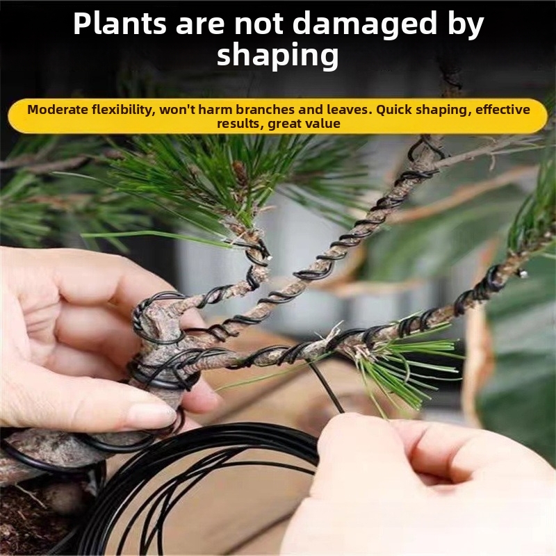 Fios de alumínio para bonsai d - Gardening Tools Diy avaliação e preço