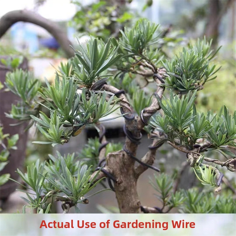 Fios de alumínio para bonsai d - Gardening Tools Diy avaliação e preço