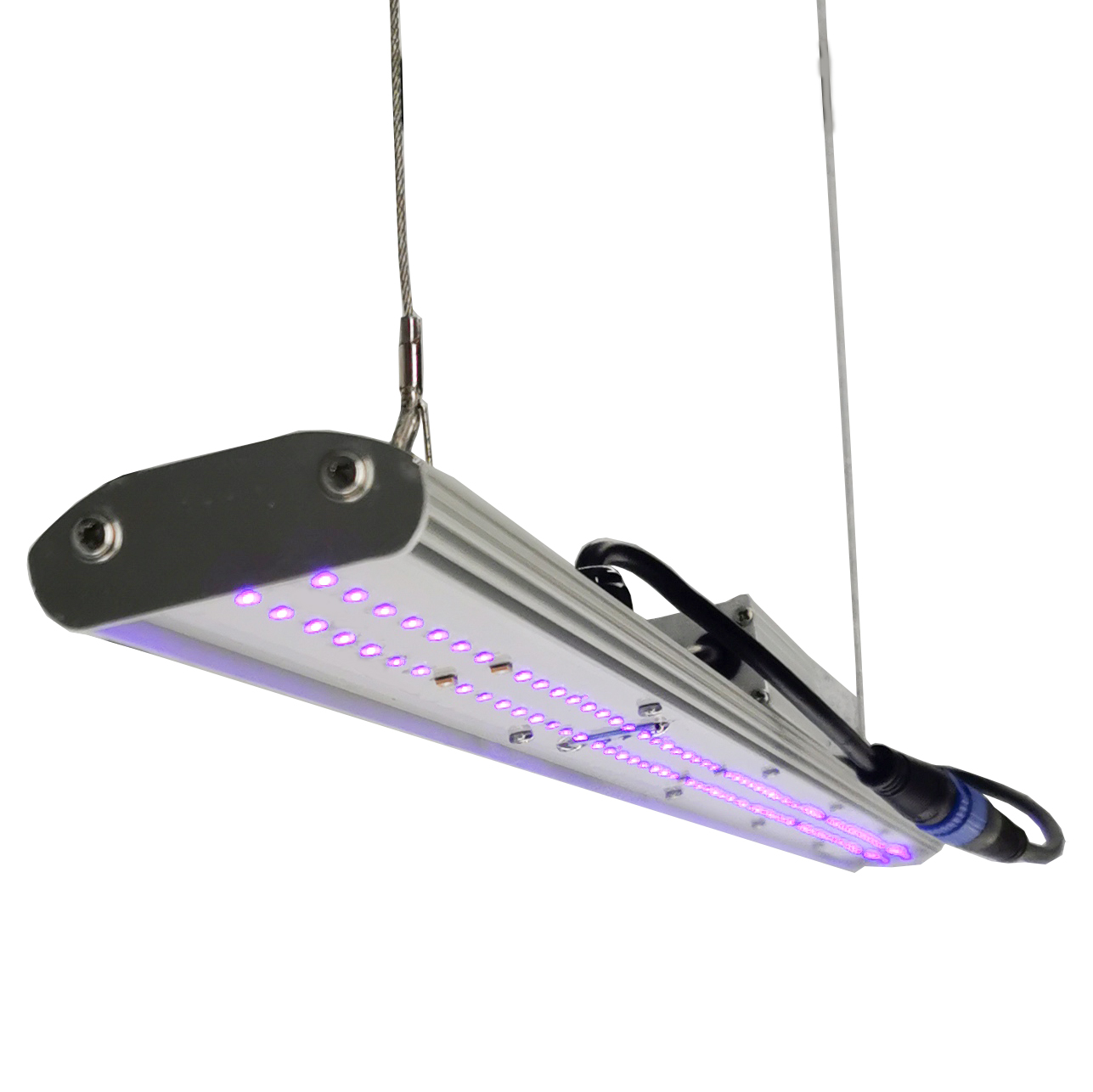 Luminária LED DANSE com Dimmer - Led Grow Light avaliação e preço