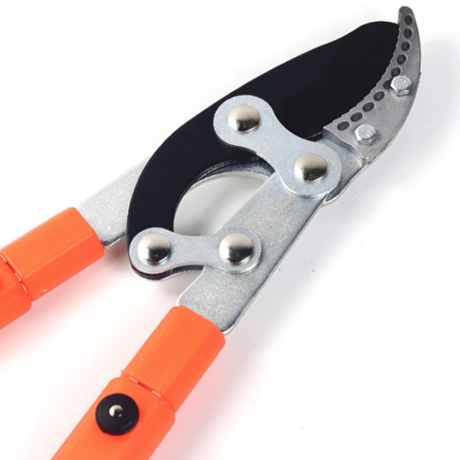 Podadores de Galhos Telescópic - Gardening Tools avaliação e preço
