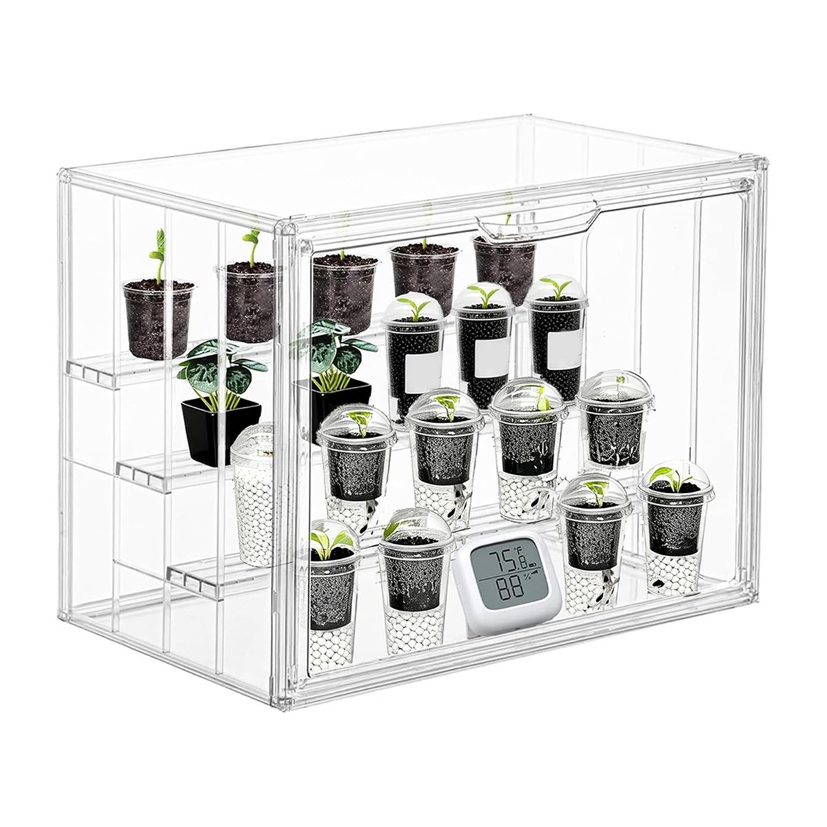 Mini Estufa Industrial Transpa - Greenhouse Mini Indoor avaliação e preço
