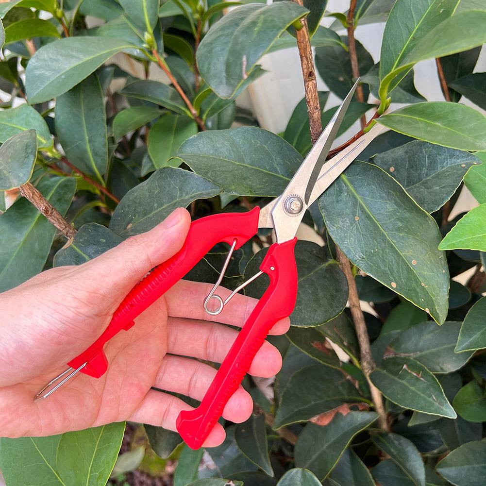 Tesoura de Poda Profissional p - Gardening Tools Basic avaliação e preço