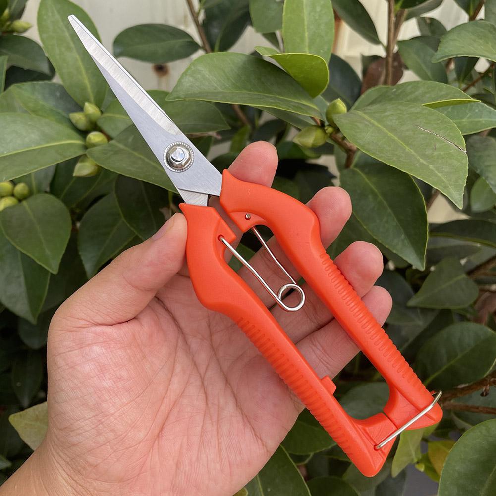Tesoura de Poda Profissional p - Gardening Tools Basic avaliação e preço