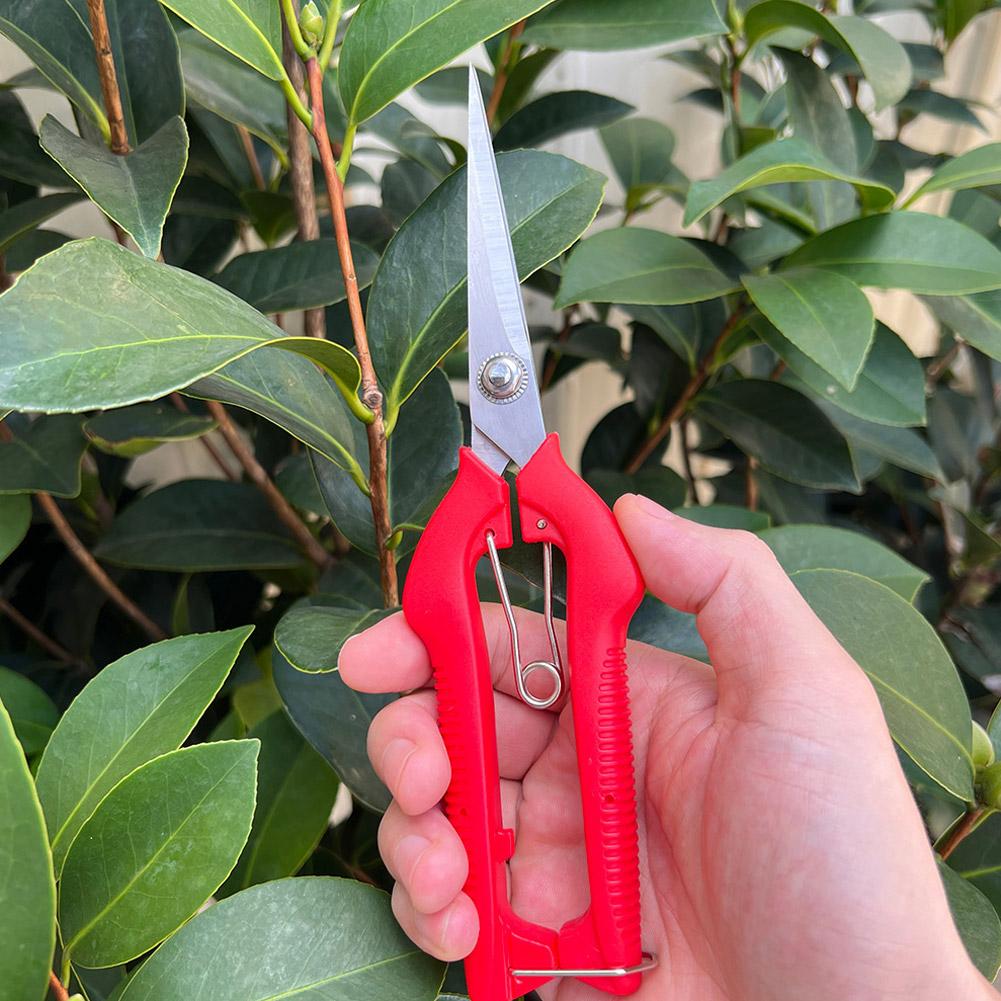 Tesoura de Poda Profissional p - Gardening Tools Basic avaliação e preço