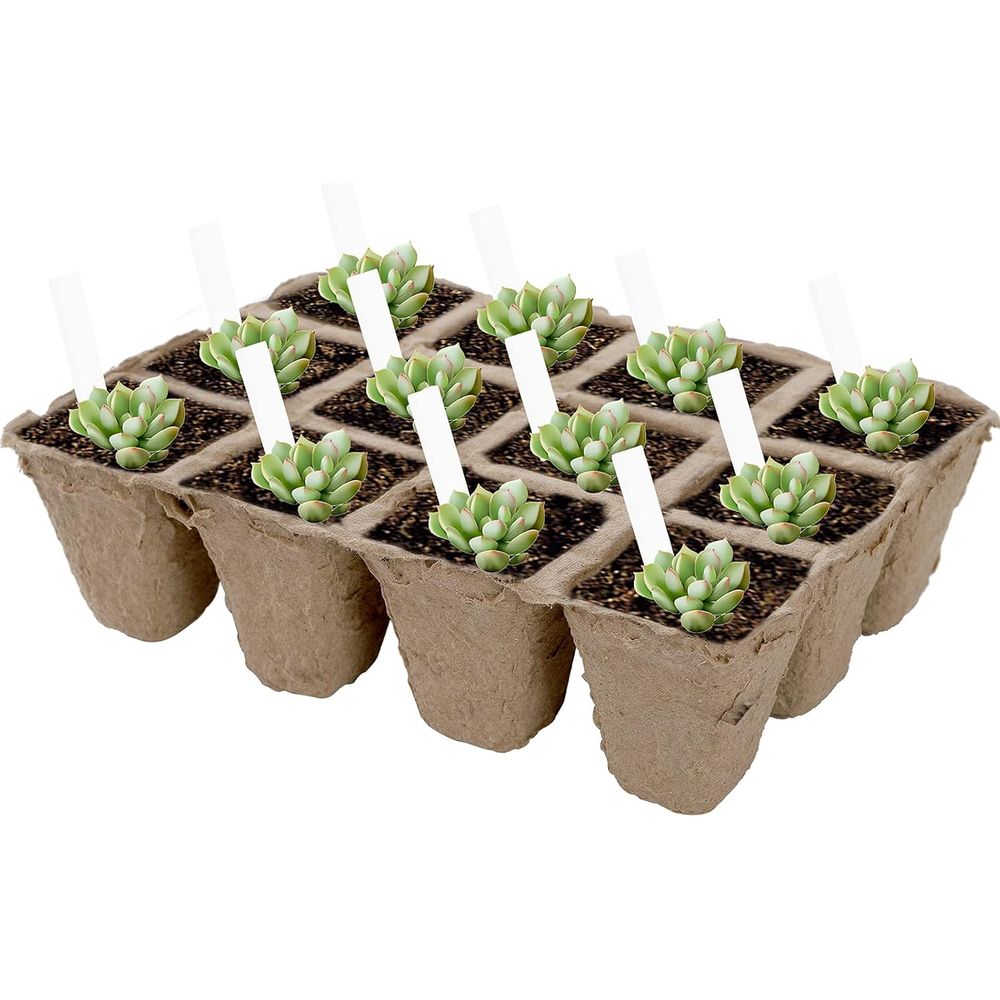 40 Pacotes de Bandejas de Germ - Seed Starter Trays avaliação e preço