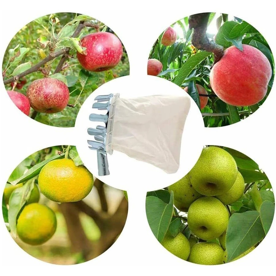 Ferramenta Profissional para C - Gardening Tools Rack avaliação e preço